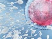 盘点移植后宫缩痛和着床痛的区别，从疼痛位置可轻松判断