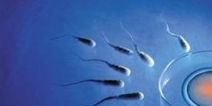 在泰国进行一次试管婴儿的费用是多少？