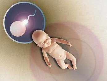 2026中山二院做第三代试管婴儿大概多少钱？附第三代试管婴儿花费明细