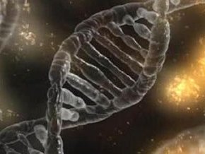 2026年想通过试管生个孩子成功率高吗？可信吗？